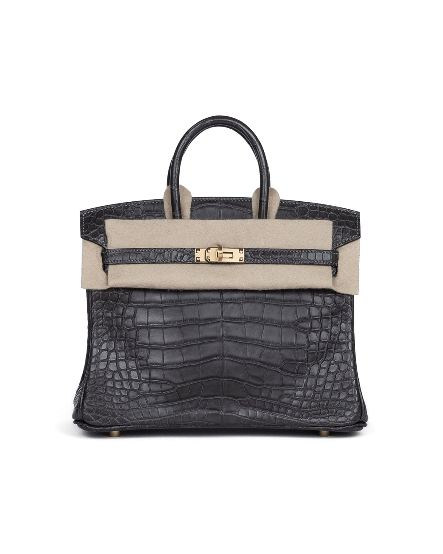 Birkin 25 Graphite in Matte Alligator Leather with Gold Hardware
