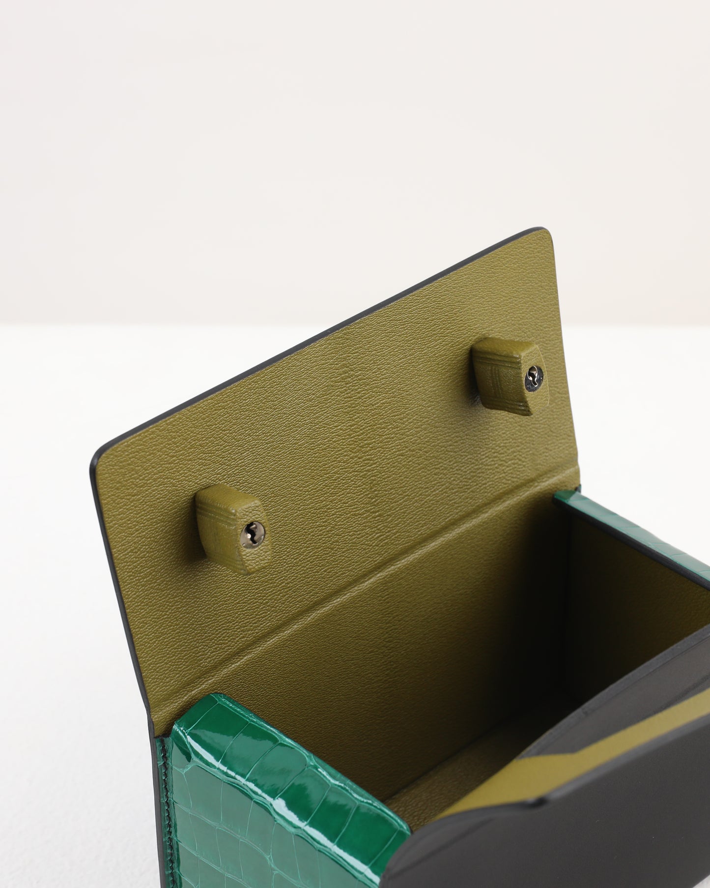 Petit H Boxbag in Hunter Cowhide & Emerald Green Shiny Alligator with Brass Hardware