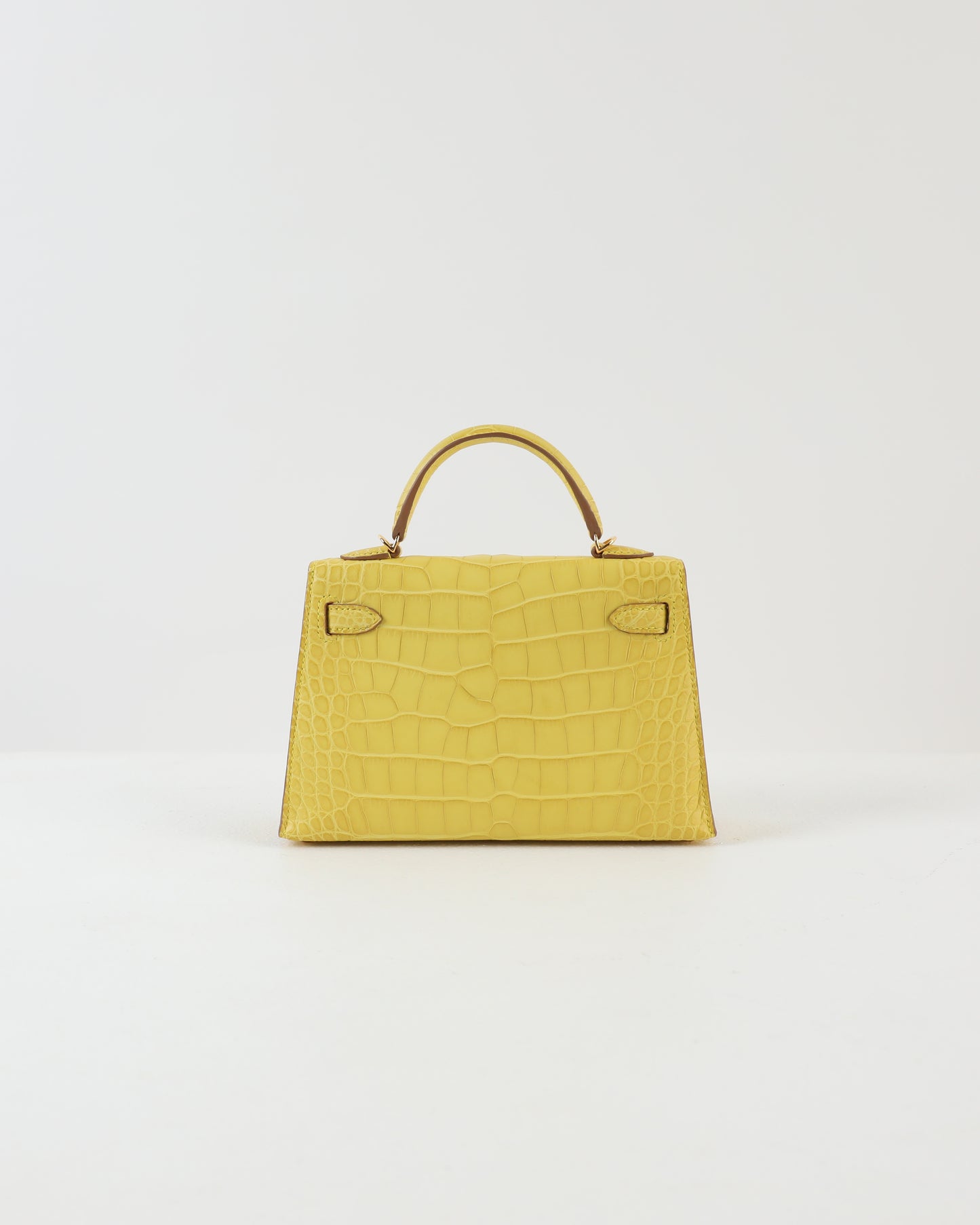 Kelly 20 Mimosa Sellier Matte Alligator with Gold Hardware