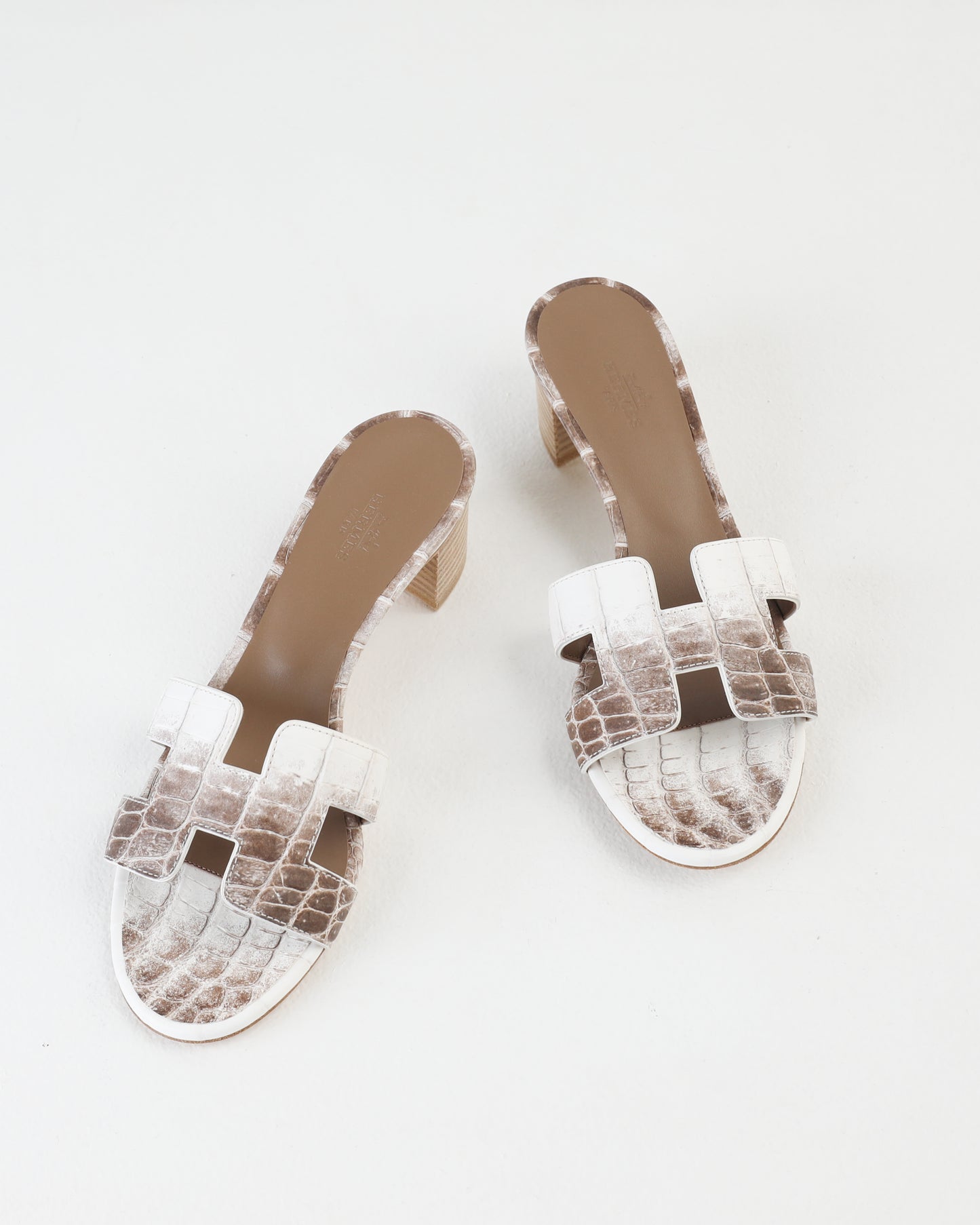 Oasis Sandal in Himalaya Crocodile
