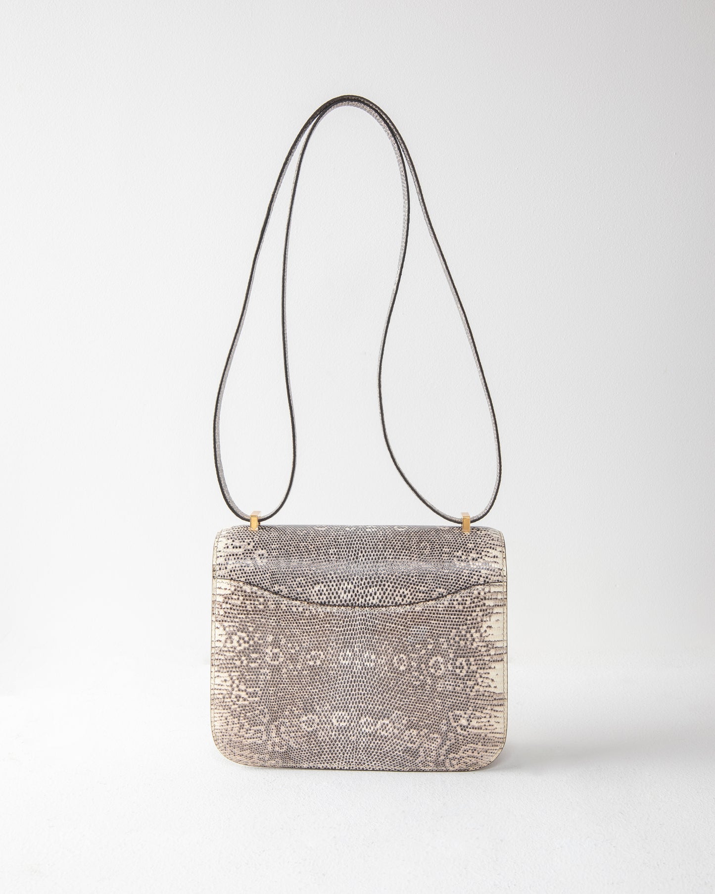 Constance 18 Lizard Ombre with Gold Hardware