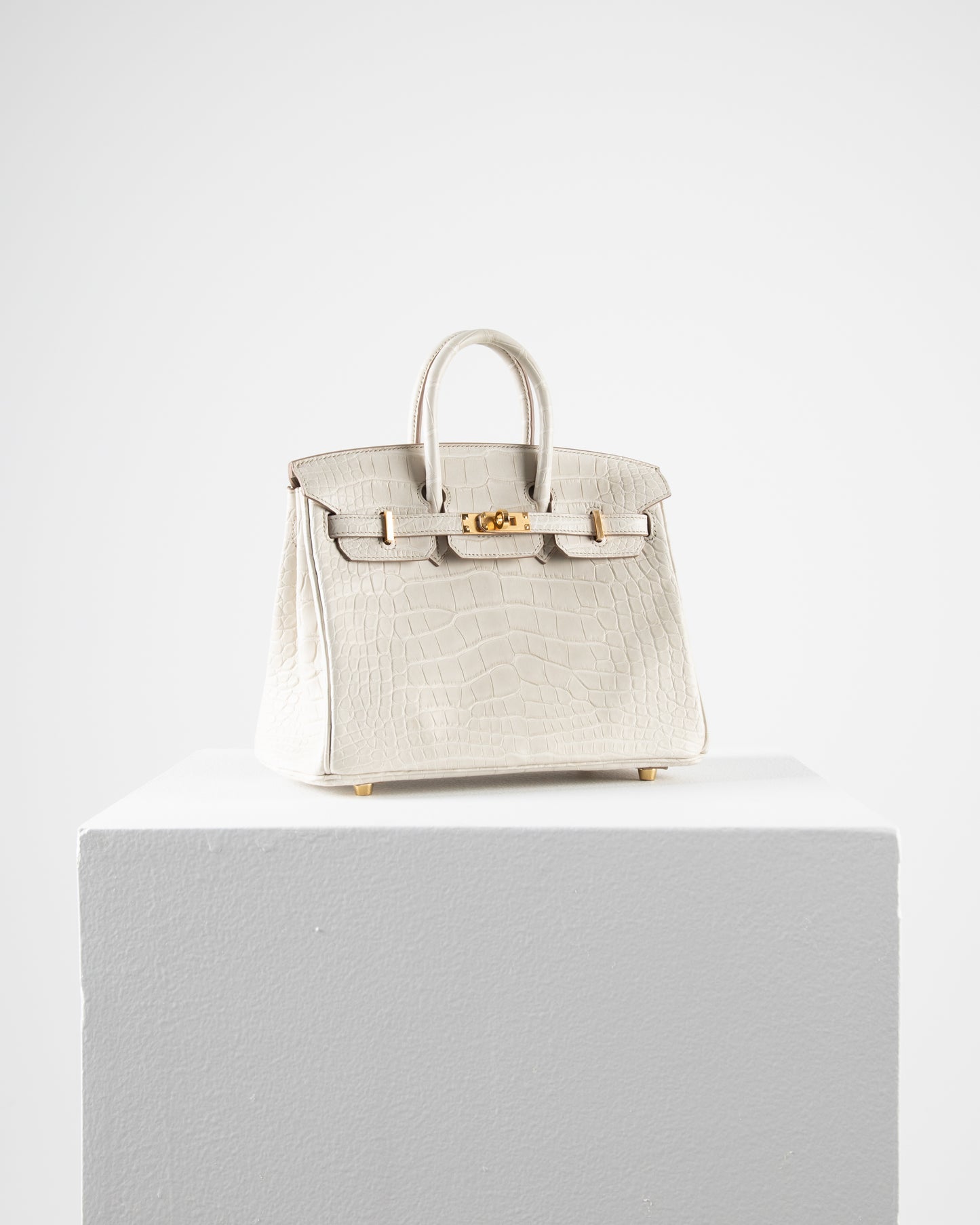 Birkin 25 in Matte Beton Alligator Mississippiensis with Gold hardware