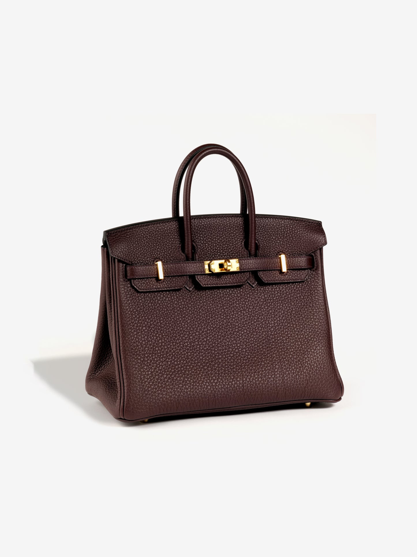 Birkin 25 Rouge Sellier with Gold Hardware