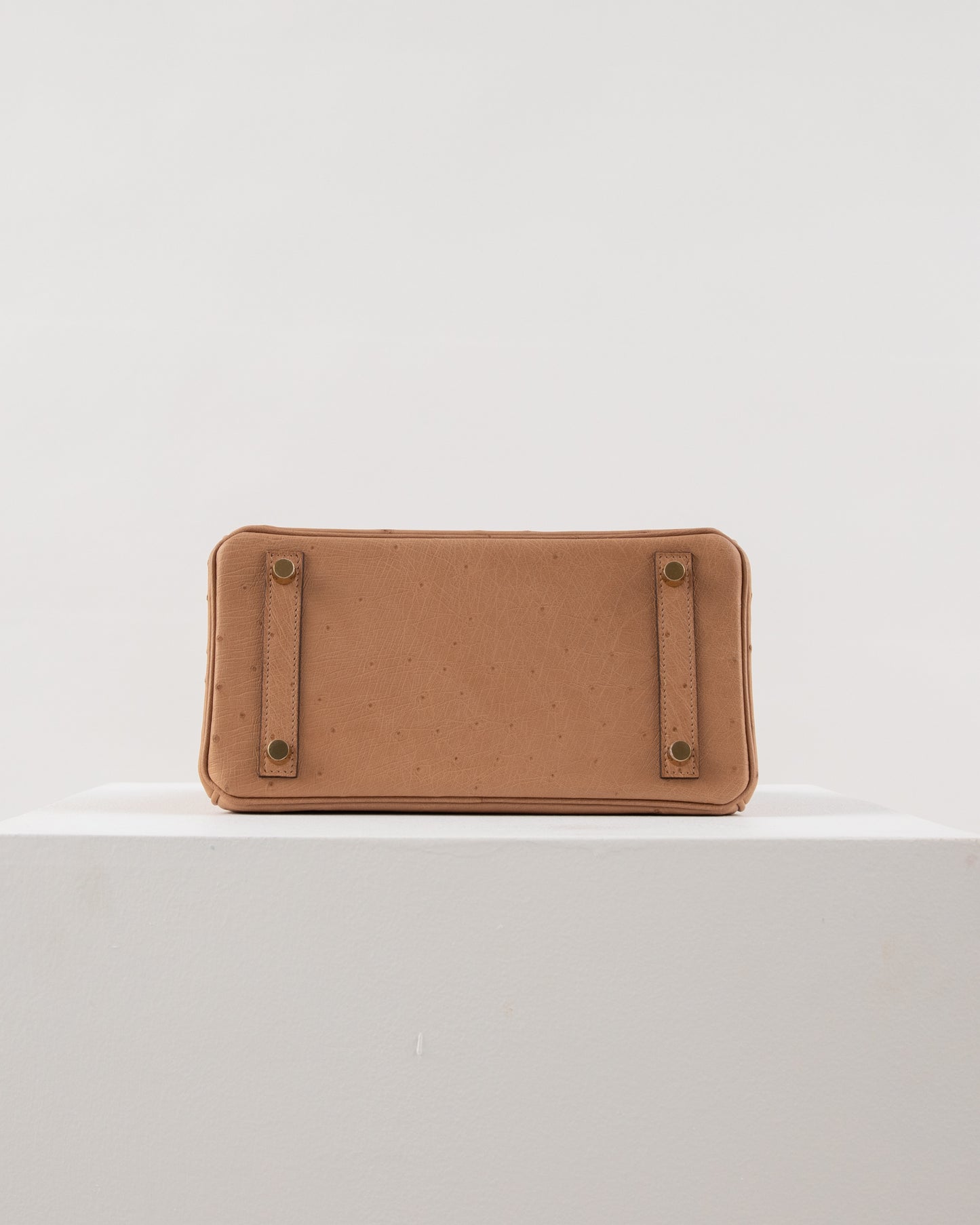 Birkin 25 Chai in Ostrich Skin with Gold Hardware
