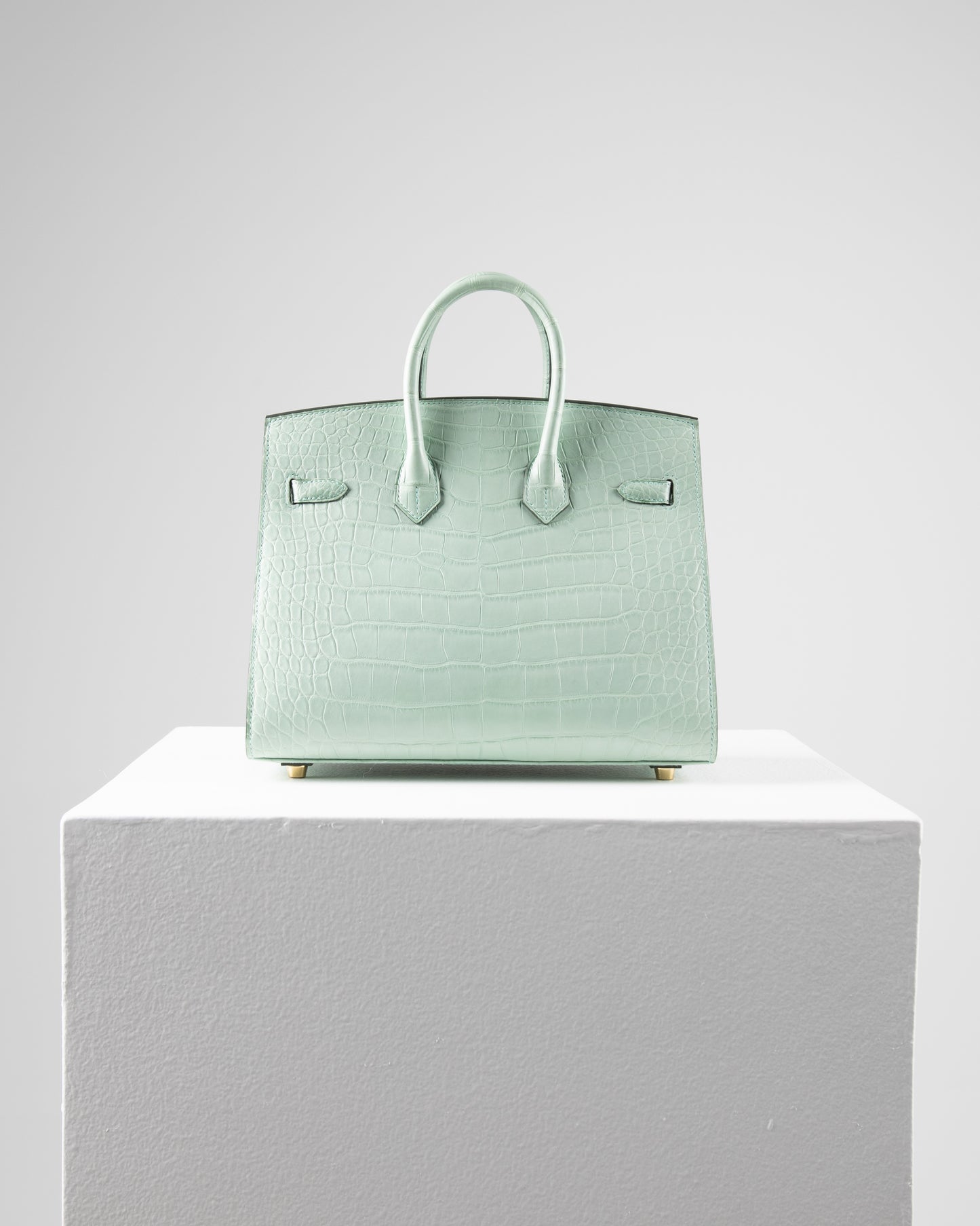 Birkin 25 Sellier in Vert D'eau Matte Alligator with Gold Hardware