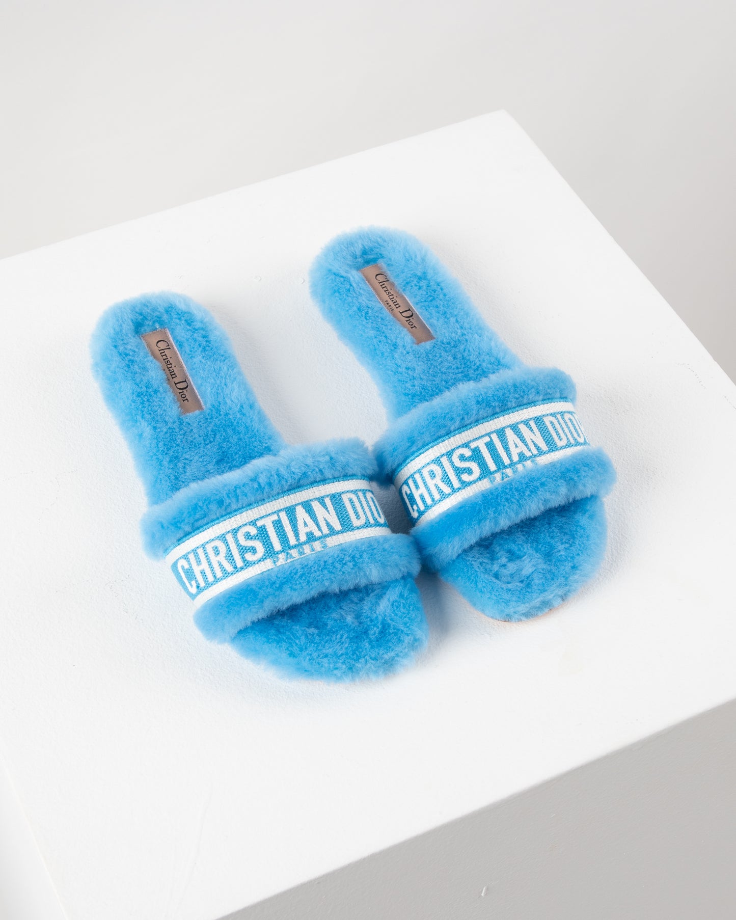 Dior Chez Moi Slide - Bright Blue Embroidered Cotton and Shearling