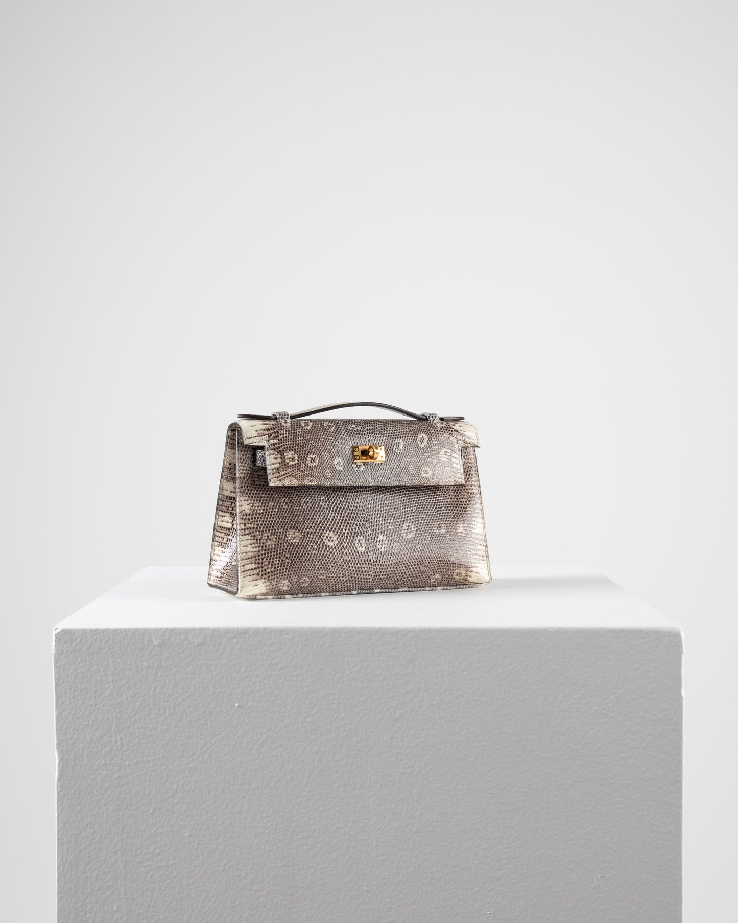 Kelly Pochette in Ombre Lizard with Gold Hardware