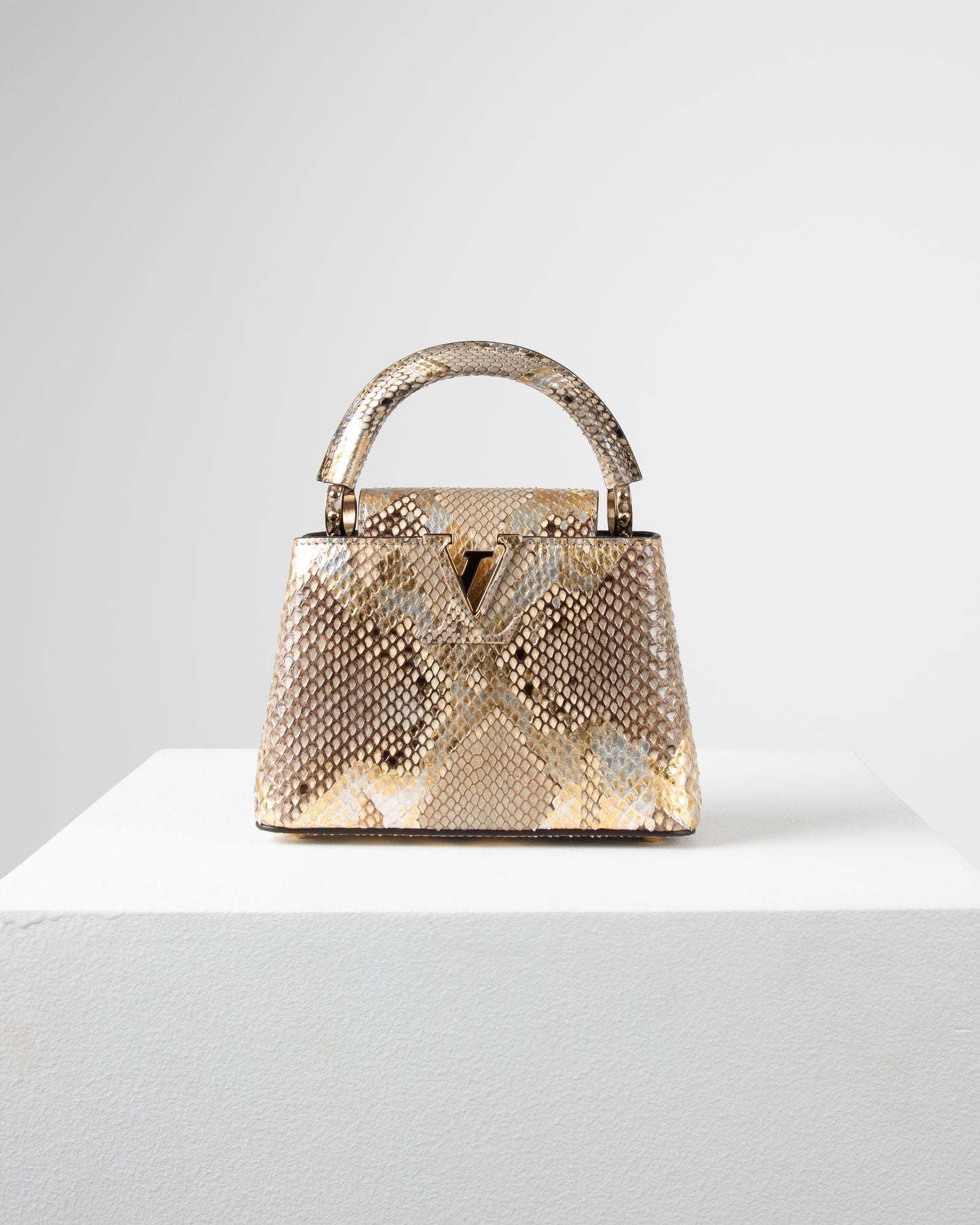 Louis Vuitton Capucine Bag