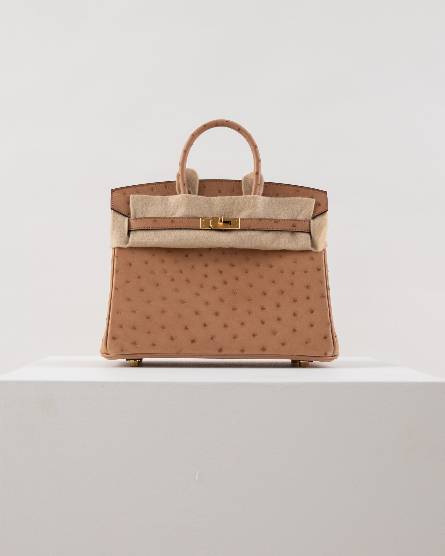 Birkin 25 Chai in Ostrich Skin with Gold Hardware