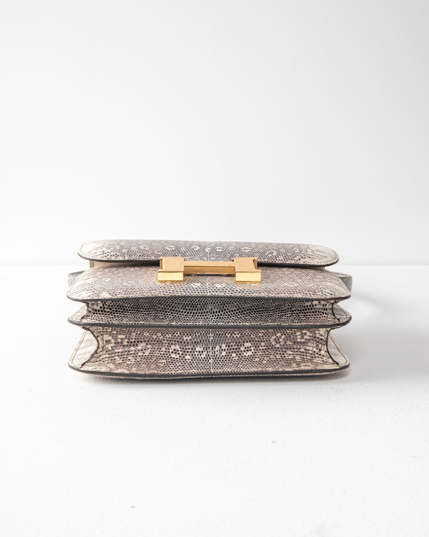 Constance 18 Lizard Ombre with Gold Hardware
