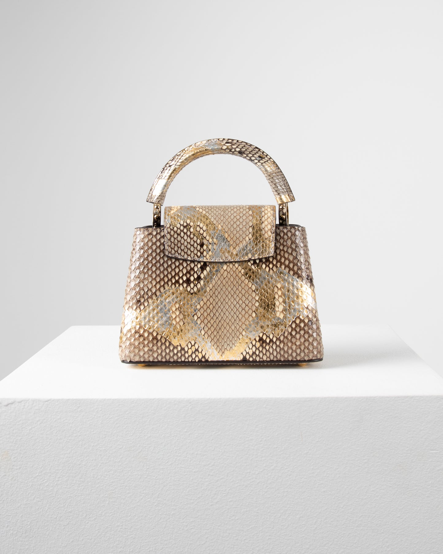 Louis Vuitton Capucine Bag