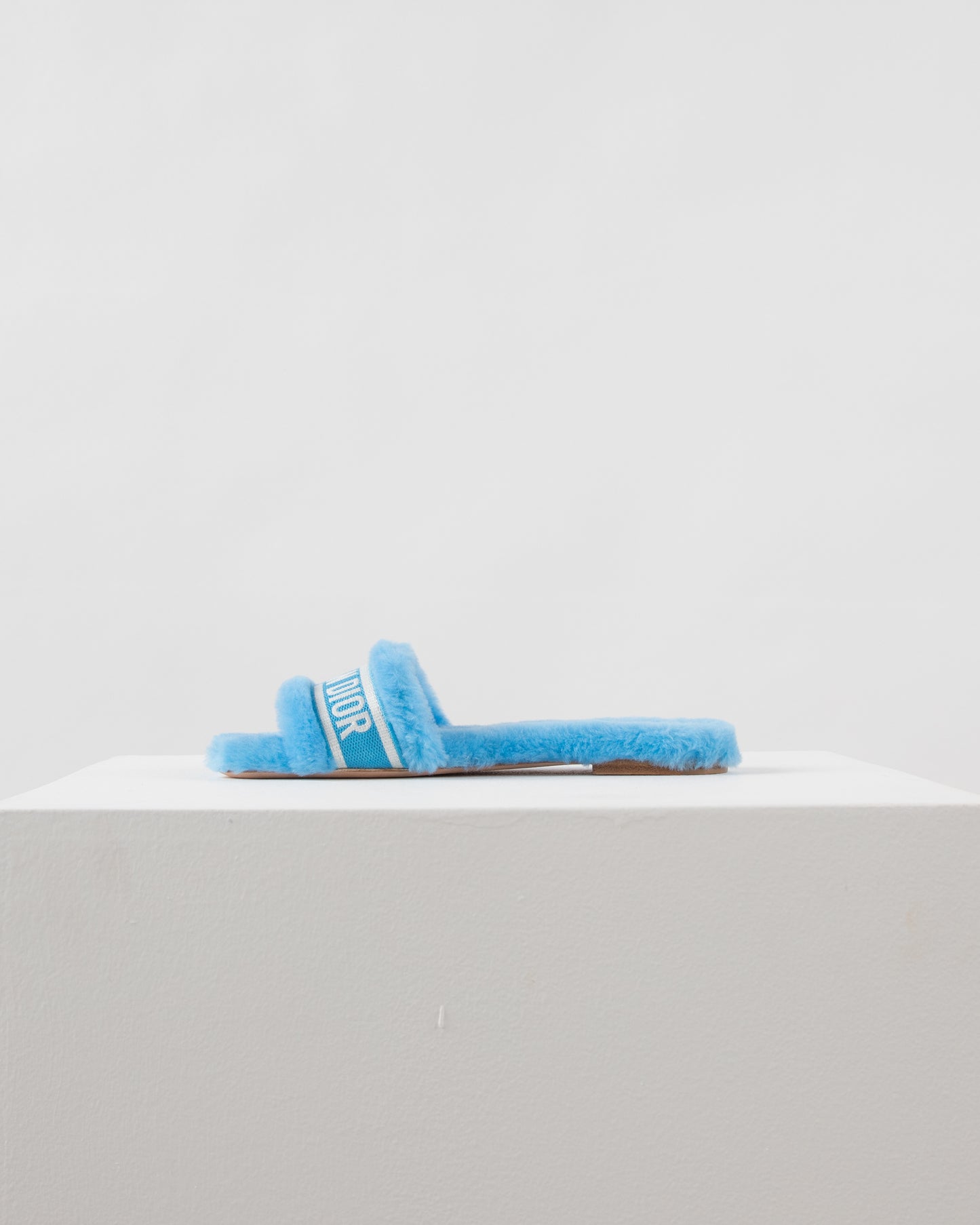 Dior Chez Moi Slide - Bright Blue Embroidered Cotton and Shearling