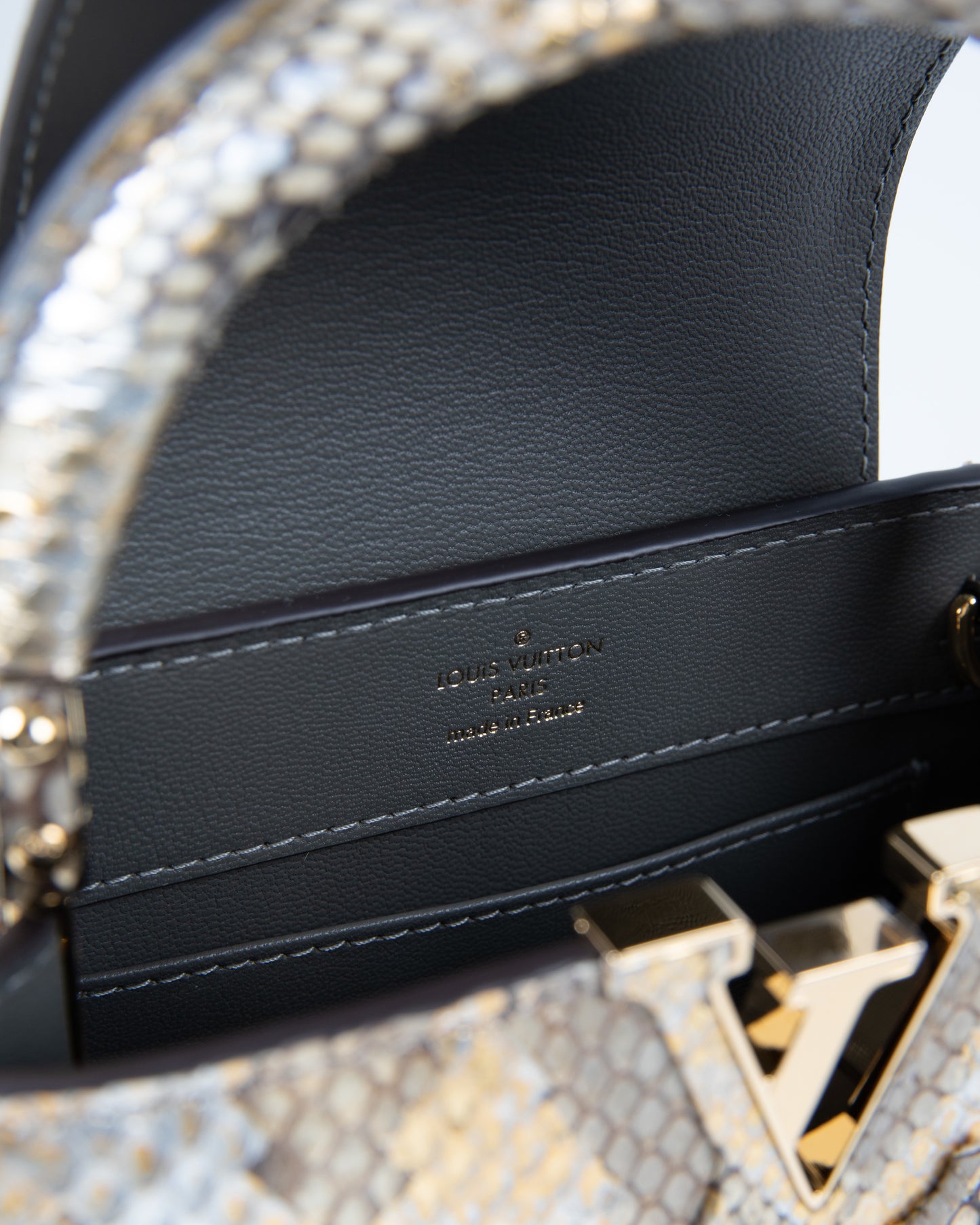 Louis Vuitton Capucine Bag