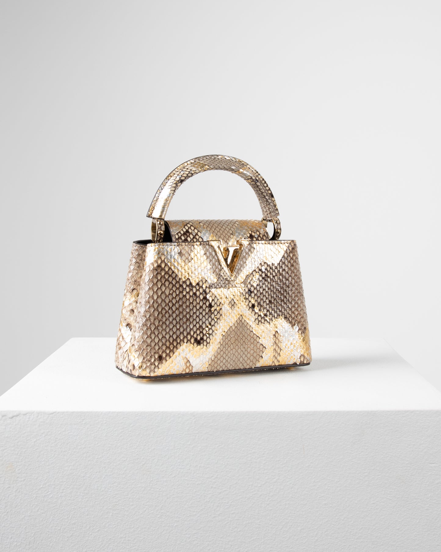 Louis Vuitton Capucine Bag