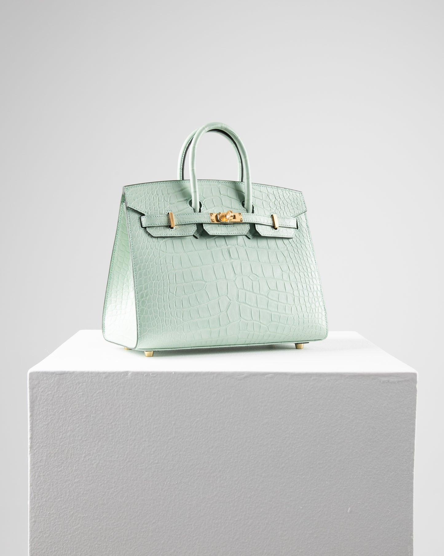 Birkin 25 Sellier in Vert D'eau Matte Alligator with Gold Hardware