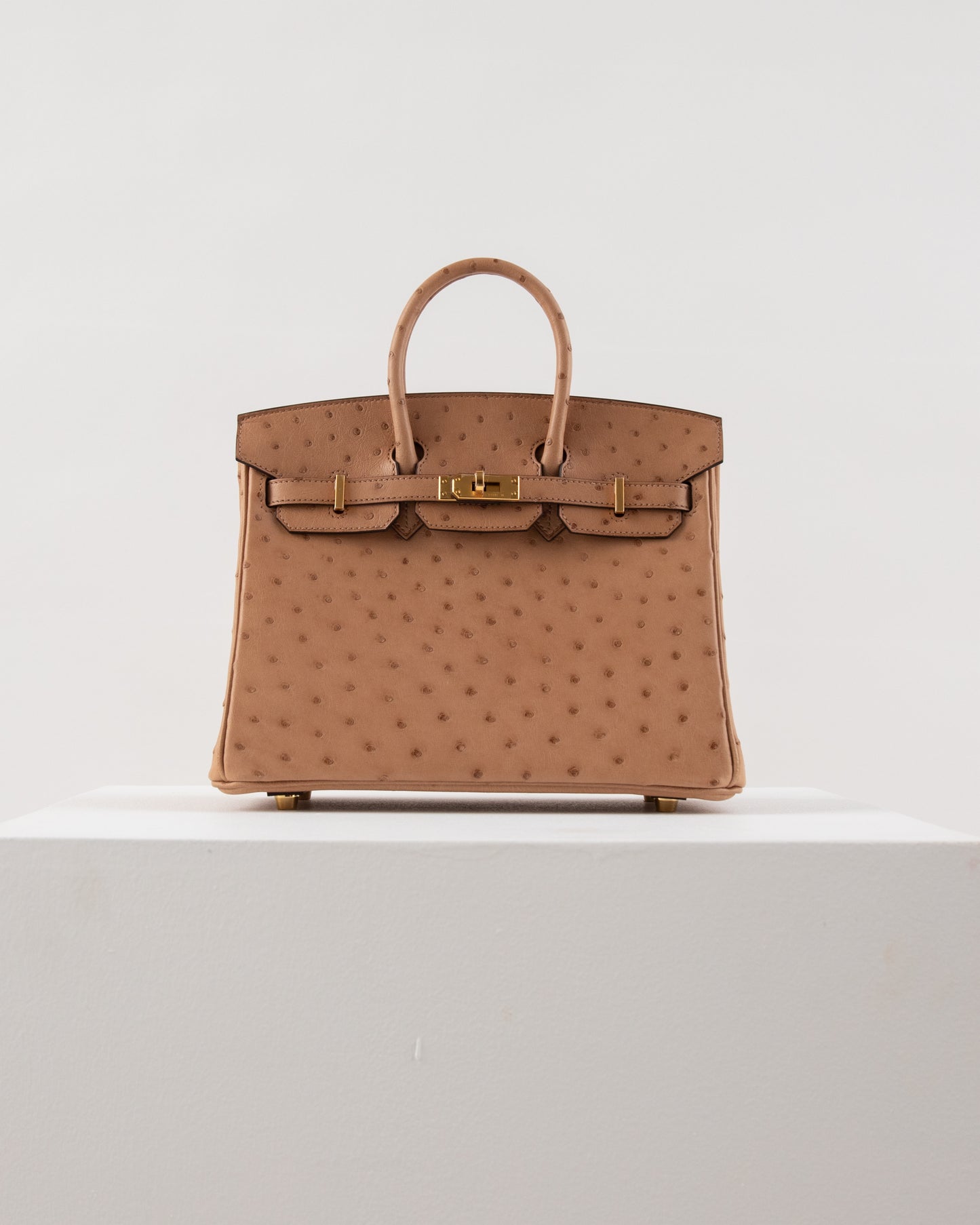 Birkin 25 Chai in Ostrich Skin with Gold Hardware