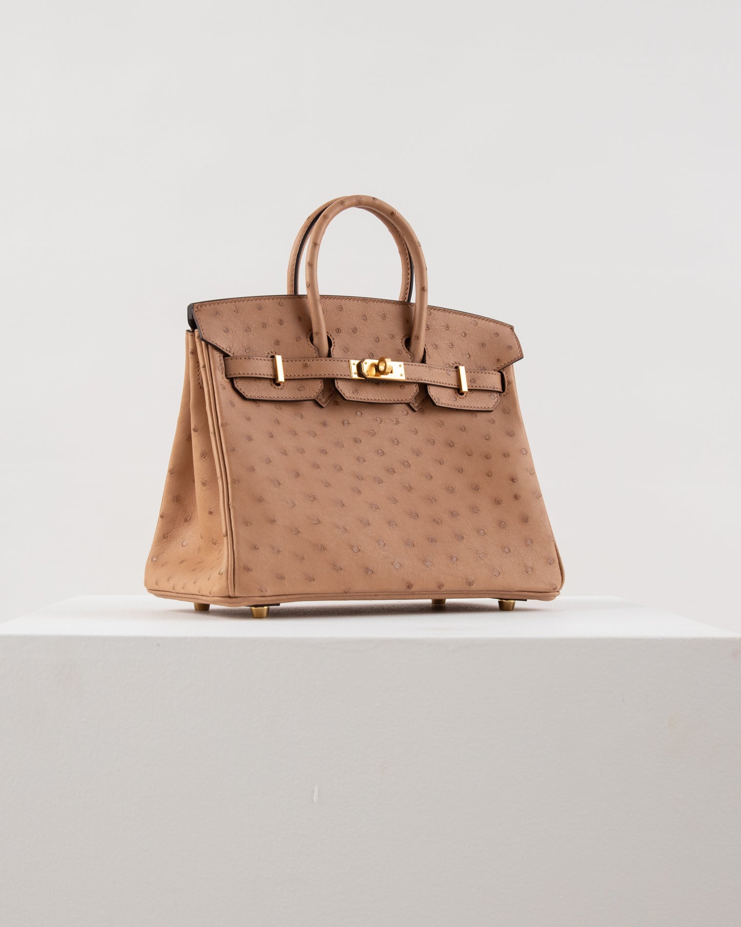 Birkin 25 Chai in Ostrich Skin with Gold Hardware