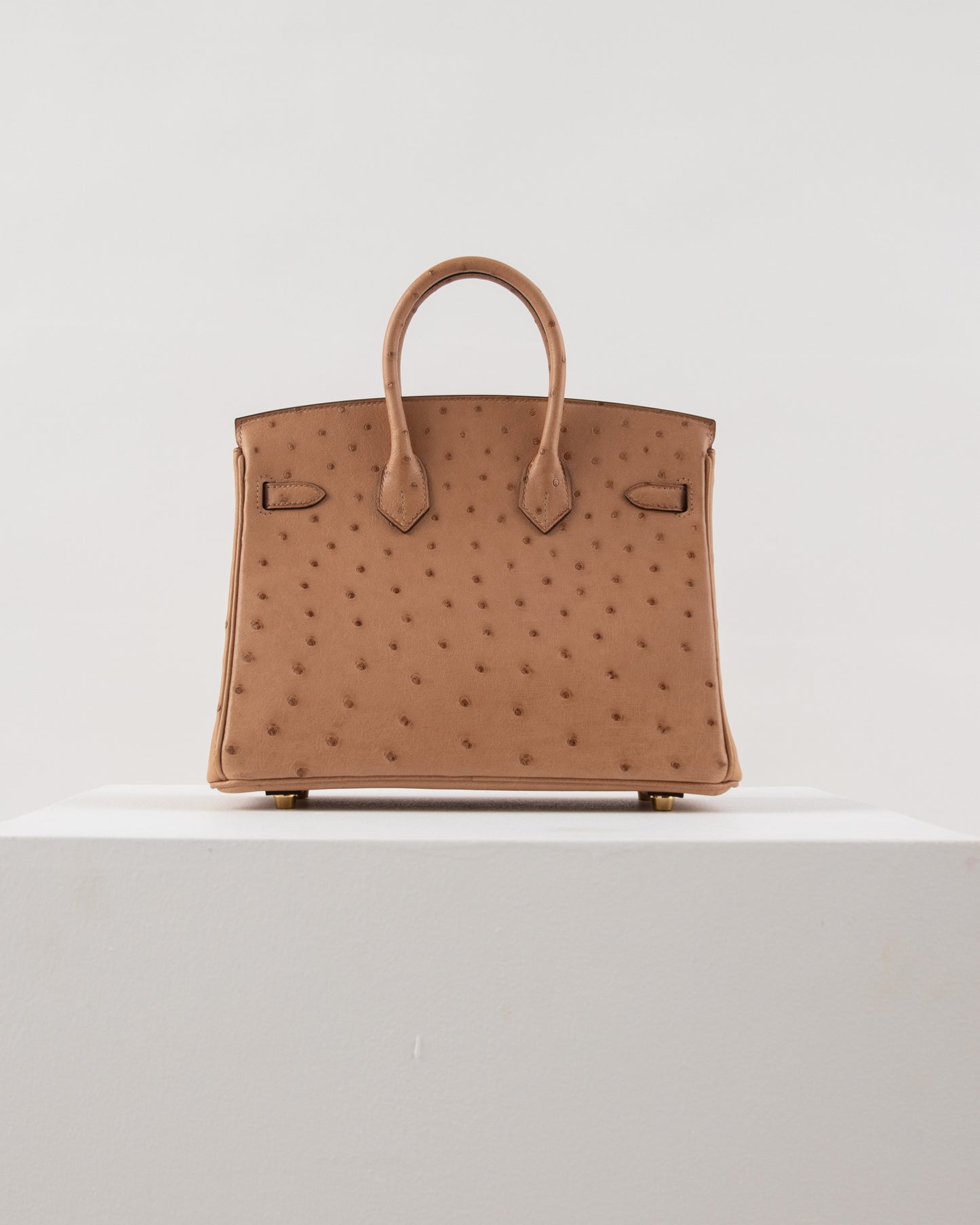 Birkin 25 Chai in Ostrich Skin with Gold Hardware