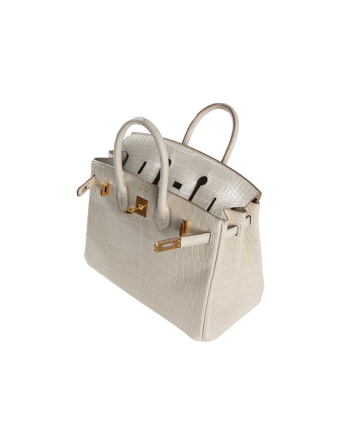 Birkin 25 in Matte Beton Alligator Mississippiensis with Gold hardware