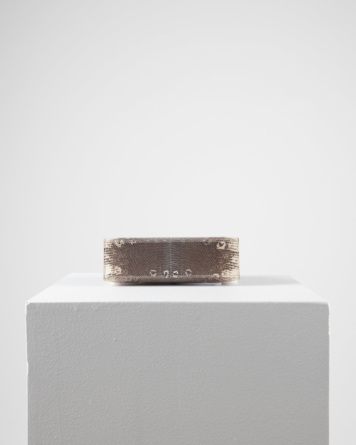 Kelly Pochette in Ombre Lizard with Gold Hardware