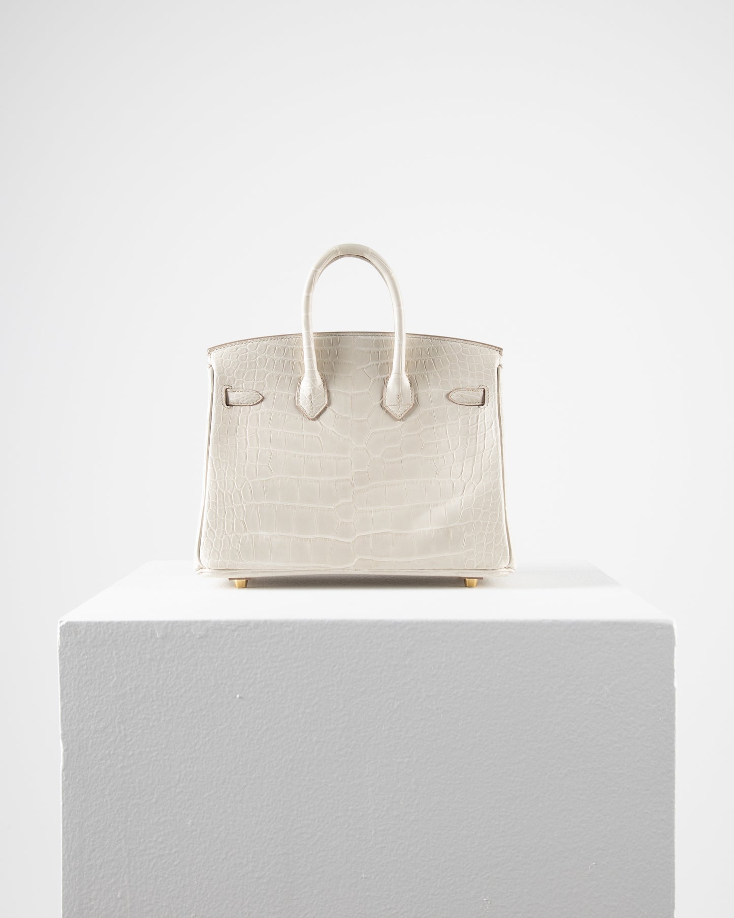 Birkin 25 in Matte Beton Alligator Mississippiensis with Gold hardware