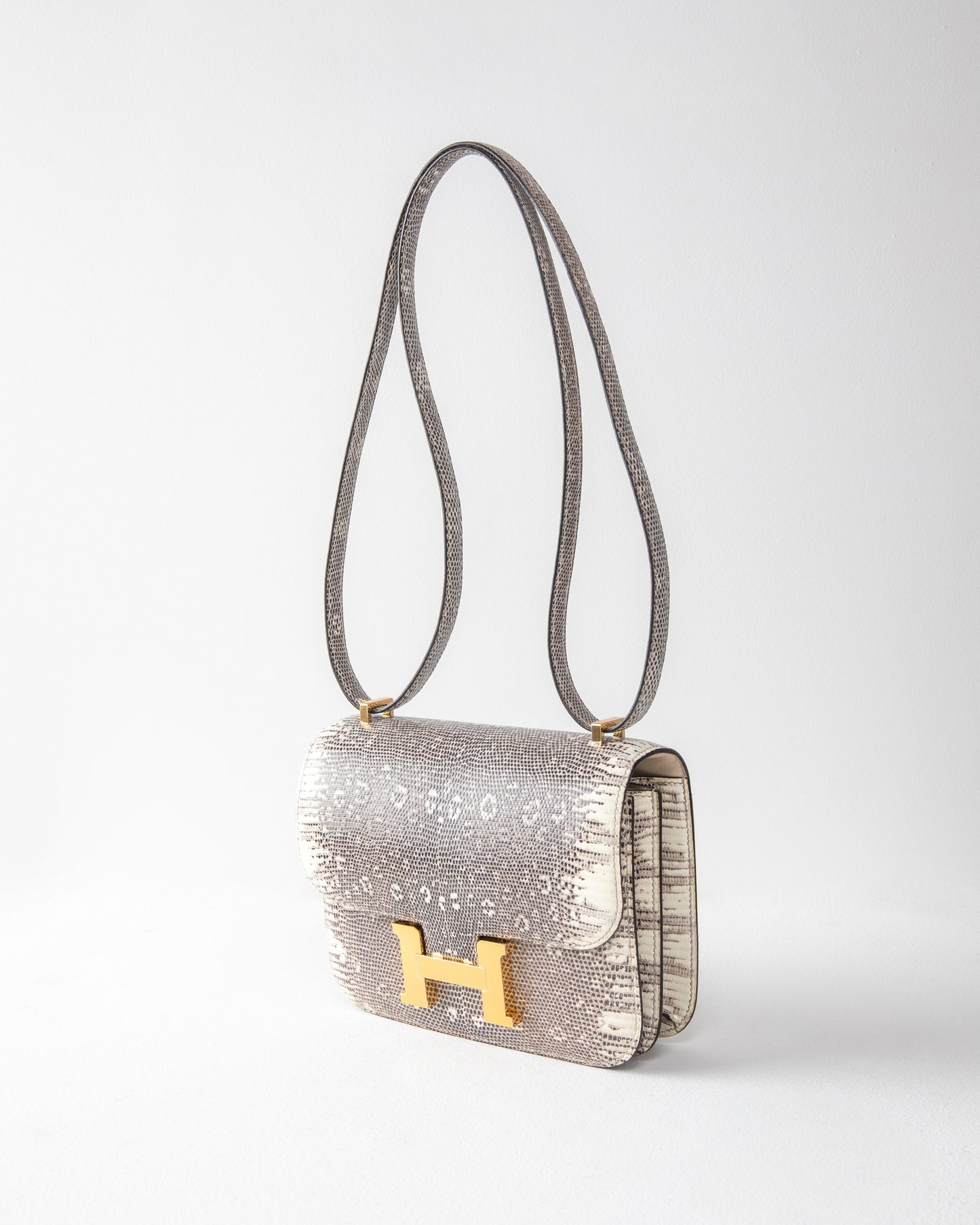 Constance 18 Lizard Ombre with Gold Hardware