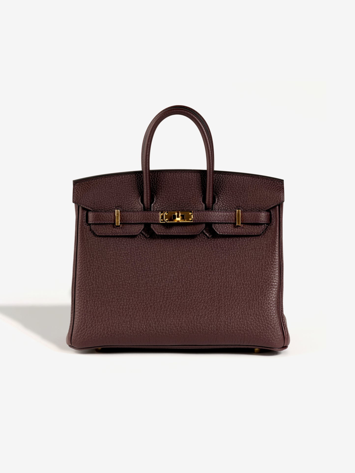Birkin 25 Rouge Sellier with Gold Hardware