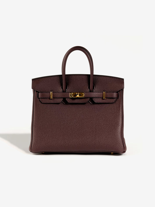 Birkin 25 Rouge Sellier with Gold Hardware
