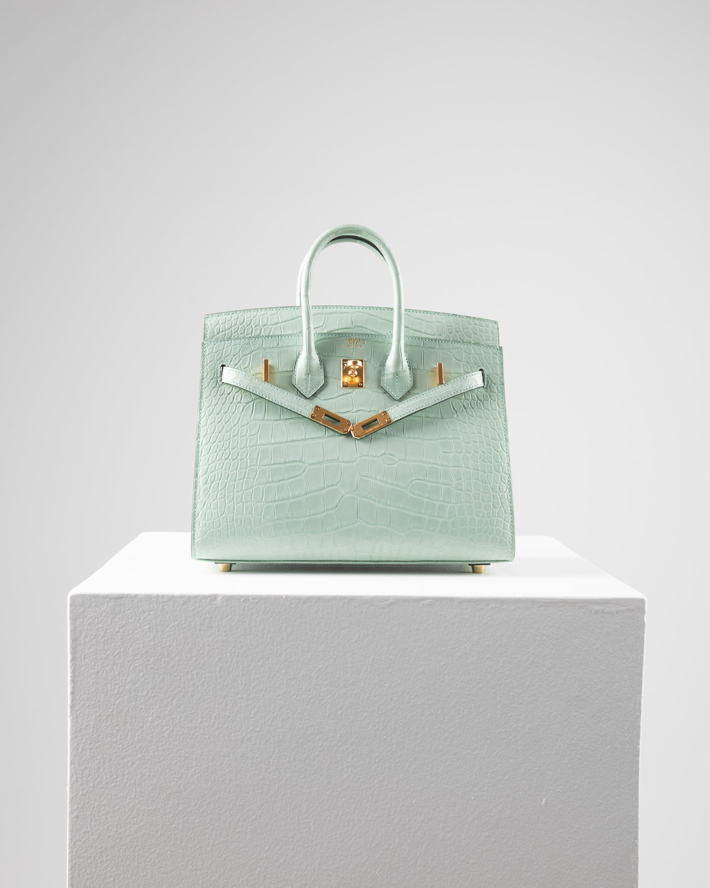 Birkin 25 Sellier in Vert D'eau Matte Alligator with Gold Hardware