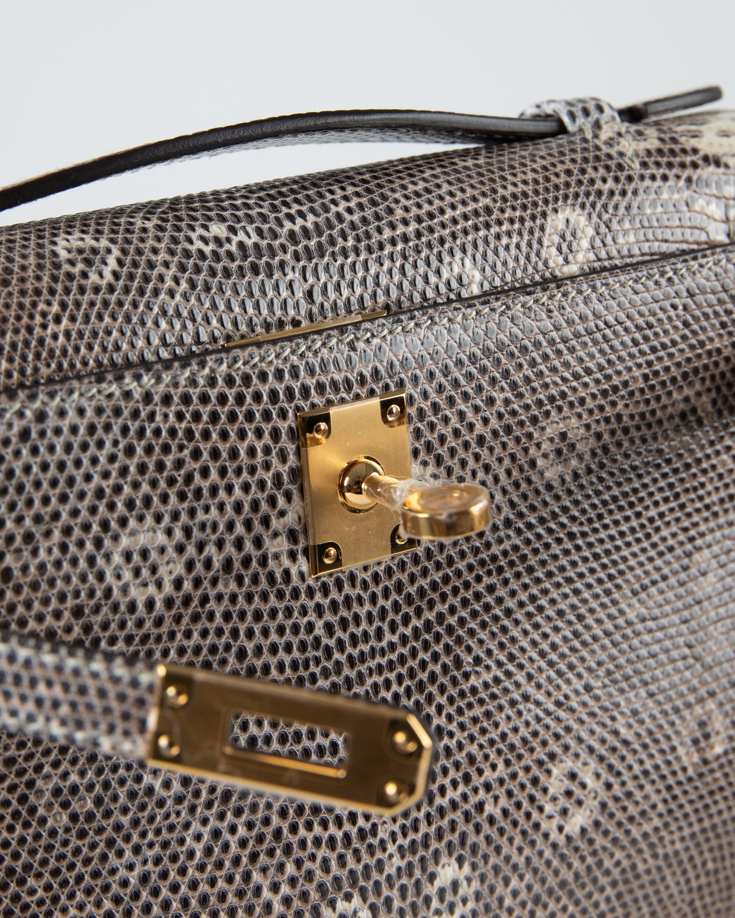 Kelly Pochette in Ombre Lizard with Gold Hardware