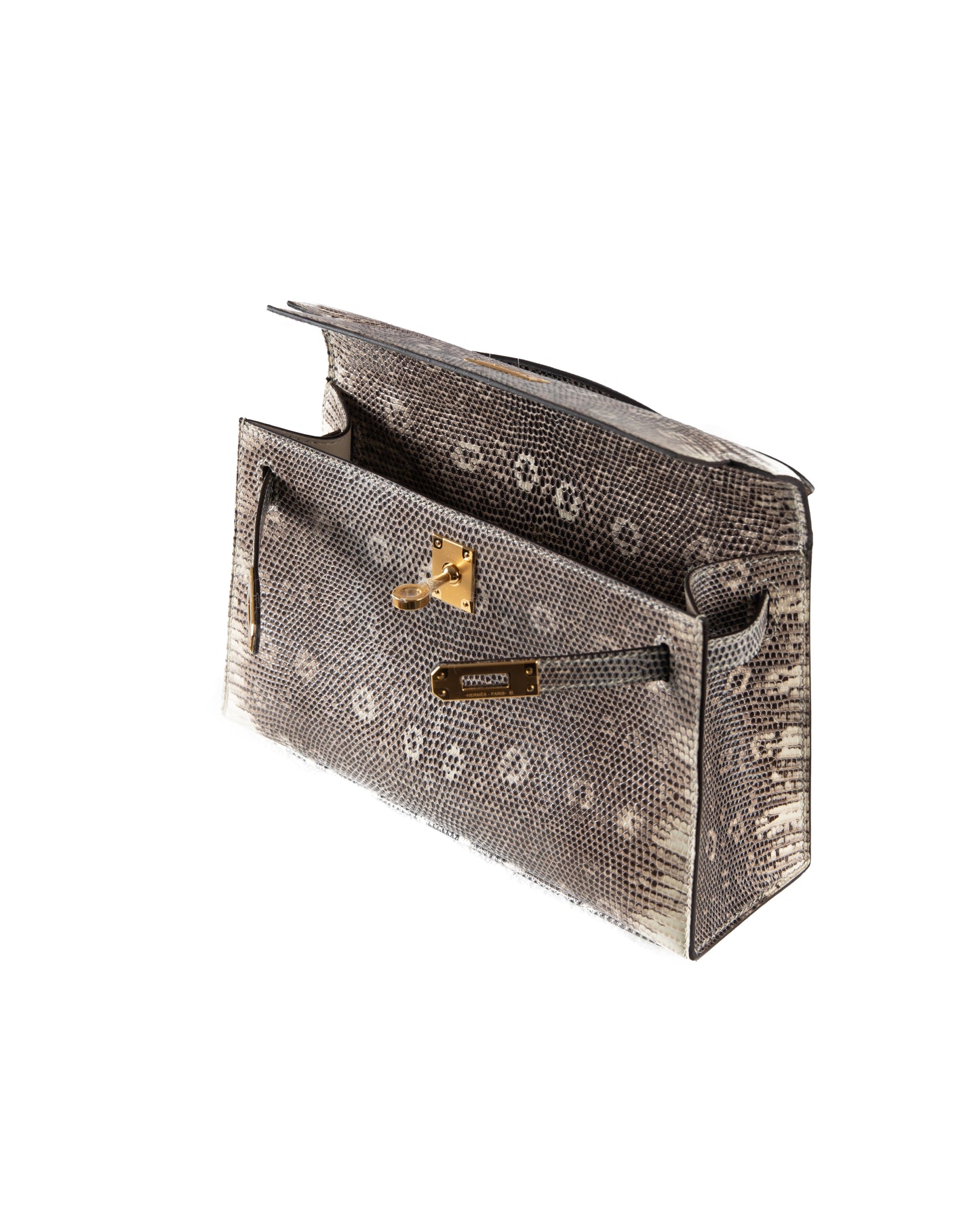 Kelly Pochette in Ombre Lizard with Gold Hardware