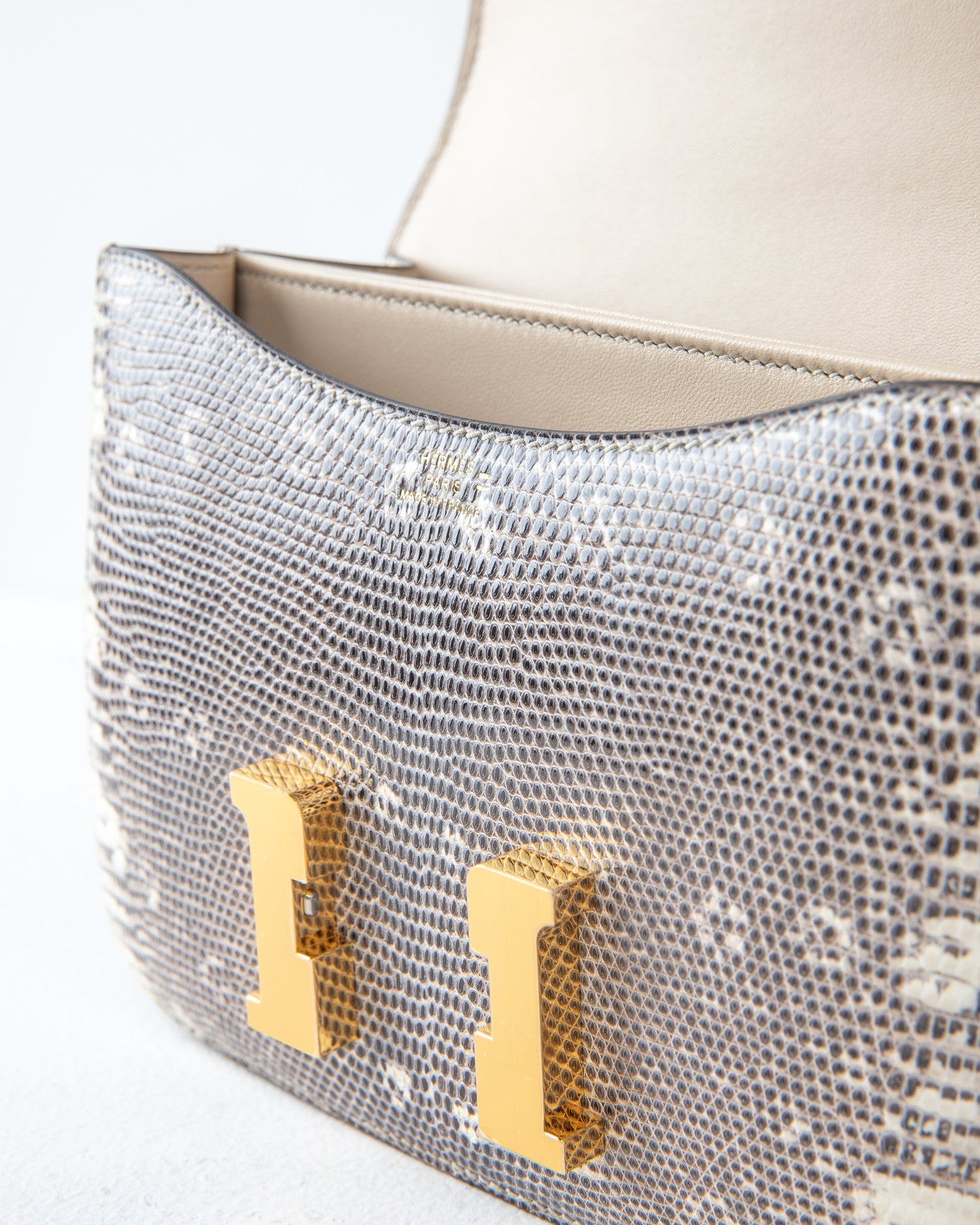 Constance 18 Lizard Ombre with Gold Hardware