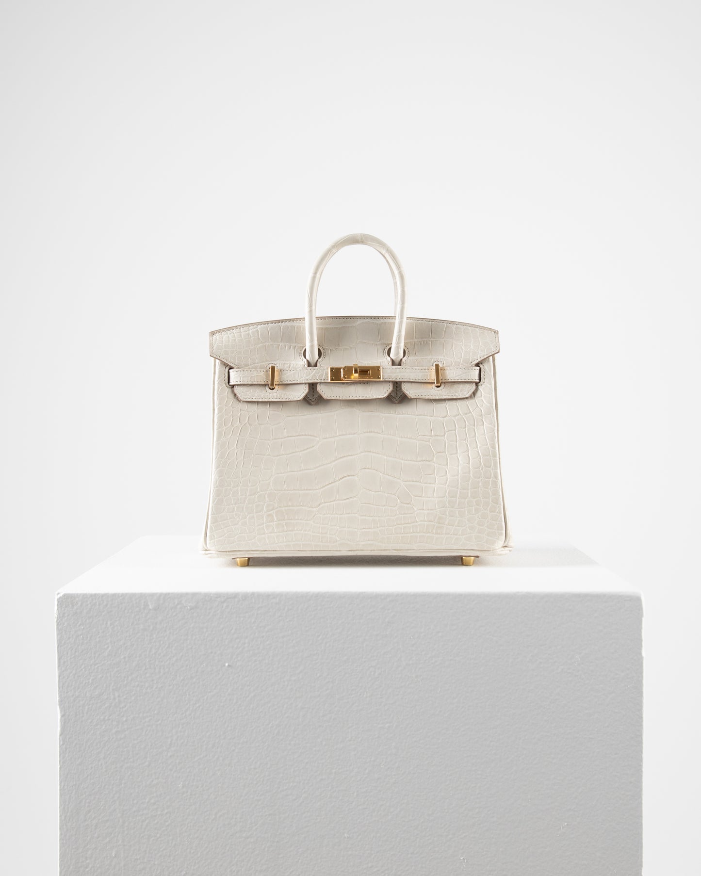 Birkin 25 in Matte Beton Alligator Mississippiensis with Gold hardware