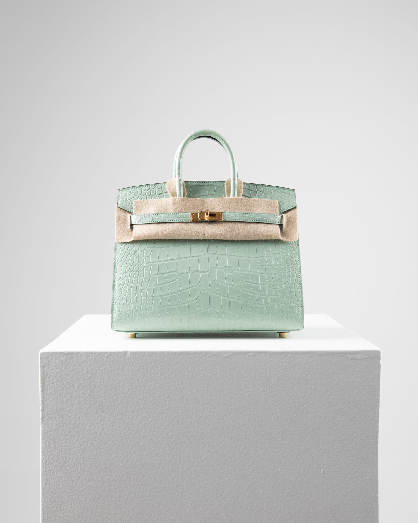 Birkin 25 Sellier in Vert D'eau Matte Alligator with Gold Hardware
