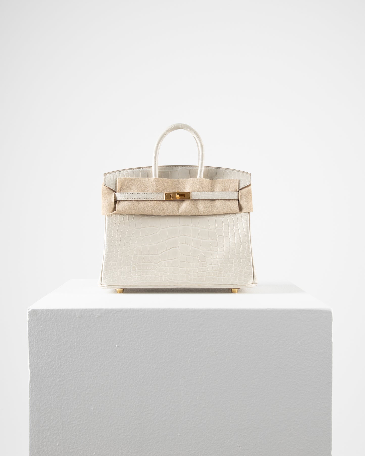 Birkin 25 in Matte Beton Alligator Mississippiensis with Gold hardware