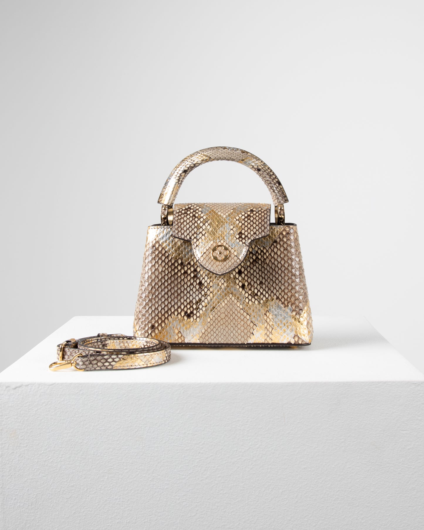 Louis Vuitton Capucine Bag
