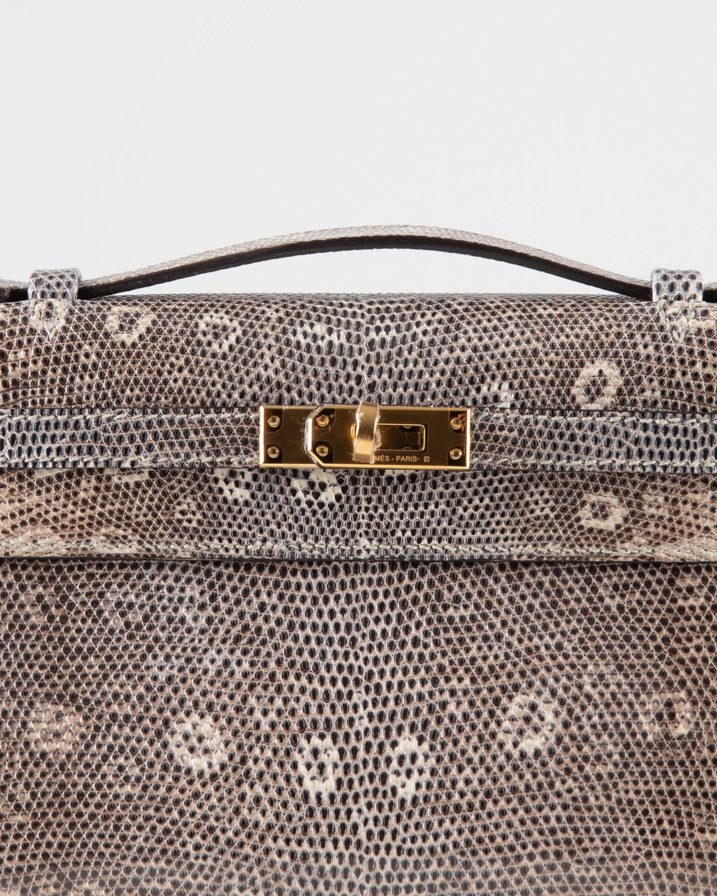 Kelly Pochette in Ombre Lizard with Gold Hardware