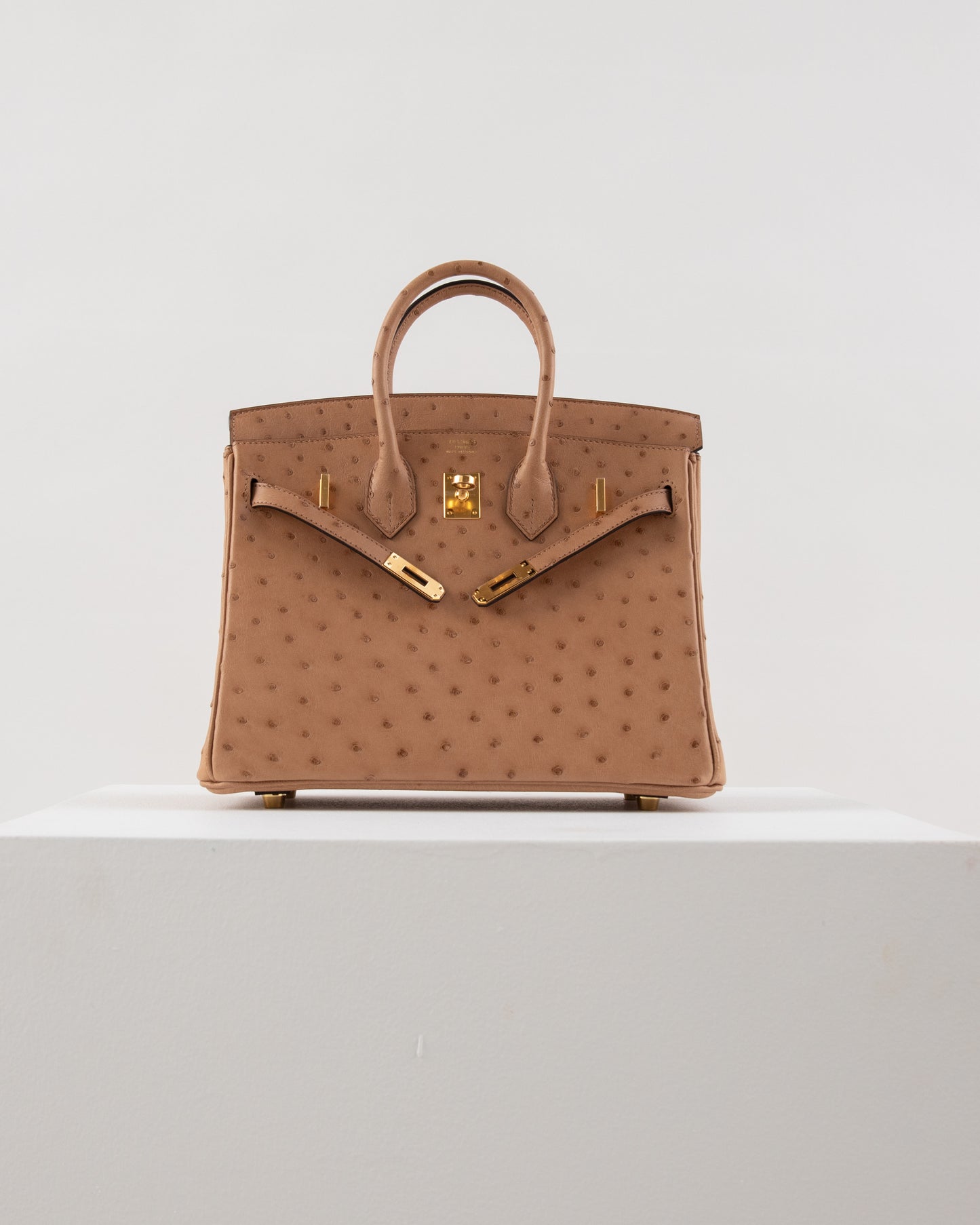 Birkin 25 Chai in Ostrich Skin with Gold Hardware