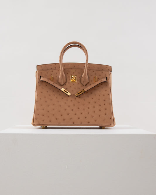 Birkin 25 Chai in Ostrich Skin with Gold Hardware