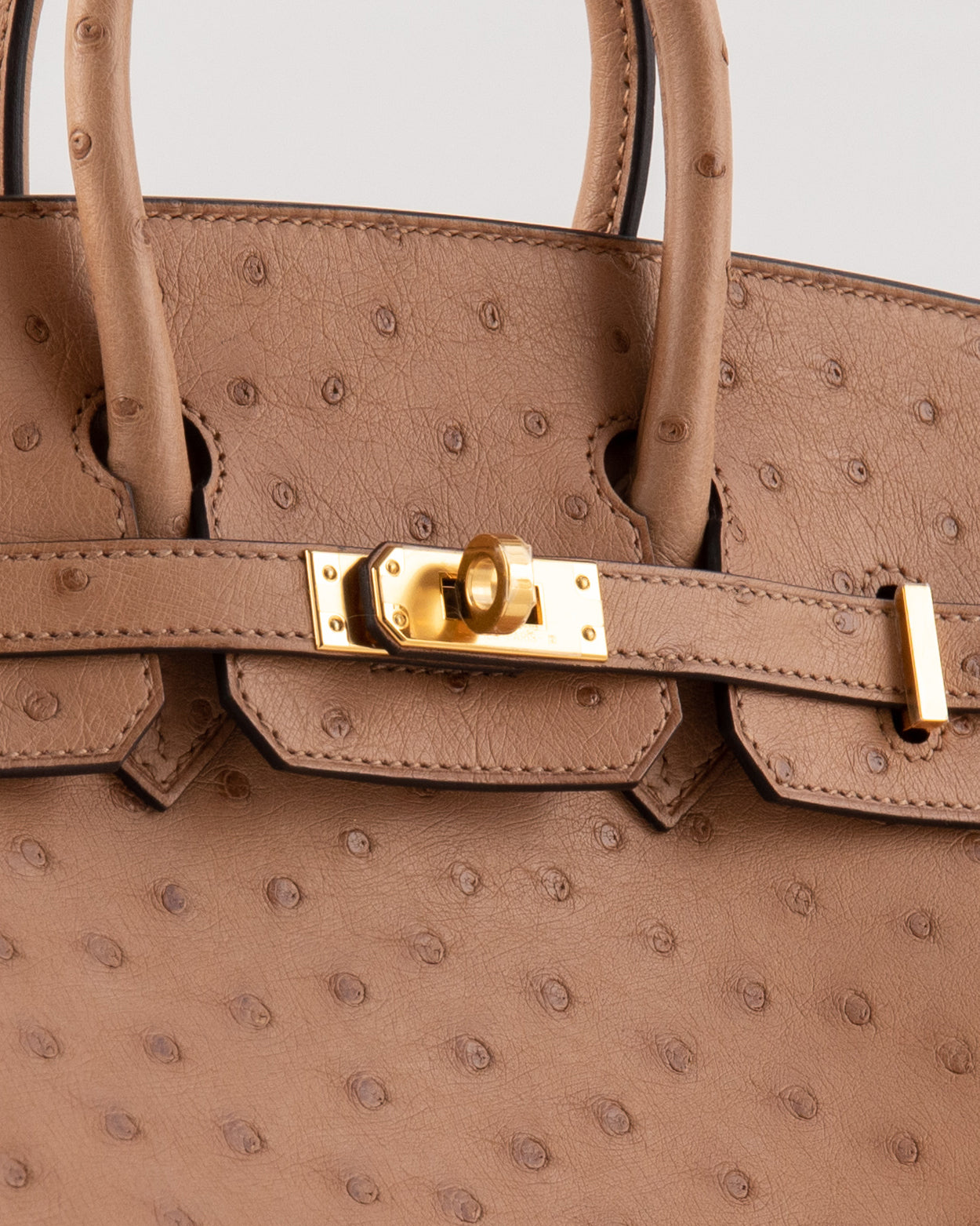 Birkin 25 Chai in Ostrich Skin with Gold Hardware