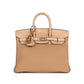 Birkin 25 Chai in Matte Alligator Touch with Gold Hardware