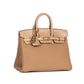 Birkin 25 Chai in Matte Alligator Touch with Gold Hardware