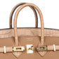 Birkin 25 Chai in Matte Alligator Touch with Gold Hardware