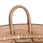 Birkin 25 Chai in Matte Alligator Touch with Gold Hardware