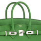 Birkin 25 Vert Yucca in Togo Leather with Palladium Hardware