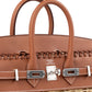 Birkin 25 Picnic Gold in Swift Leather & Osier Wicker with Palladium Hardware