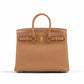 Birkin 25 Biscuit in Togo Leather with Gold Hardware