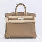 Birkin 25 Beige Marfa in Togo Leather with Palladium Hardware