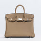 Birkin 25 Beige Marfa in Togo Leather with Palladium Hardware