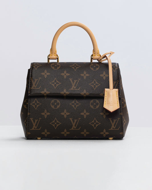 Louis Vuitton Monogram Clunny Mini handbag